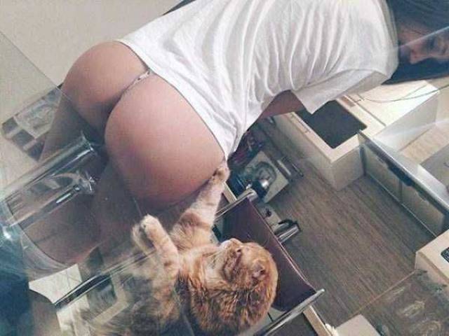 grownup corner 66 pics 16 gifs 11.html - 66 HD GIF | Premium Gallery 2016