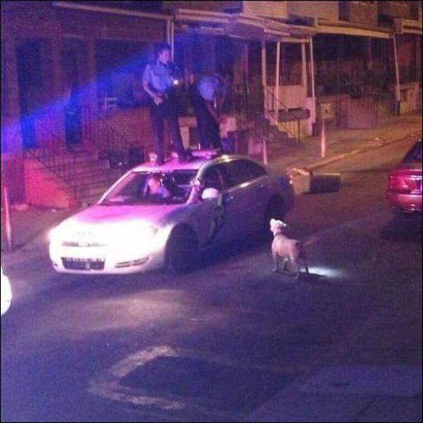 morning picdump 55 pics 18.html - 55 HD Photos | Premium Gallery 2016