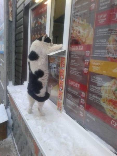 morning picdump 55 pics 18.html - 55 HD Photos | Premium Gallery 2016