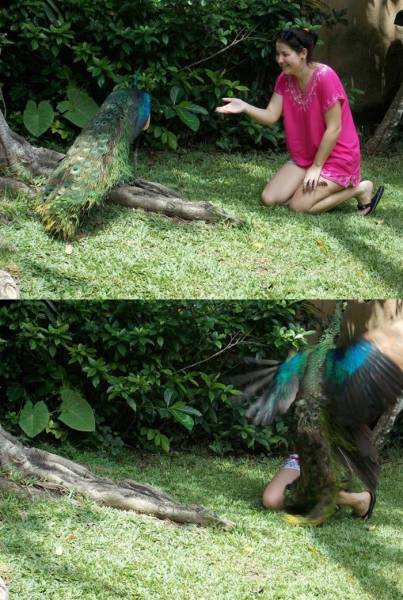 morning picdump 55 pics 18.html - 55 HD Photos | Premium Gallery 2016