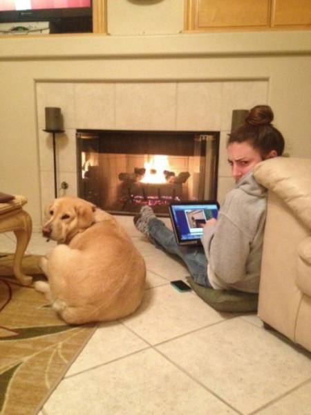 daily picdump 108 pics 18.html - 108 HD Photos | Premium Gallery 2017