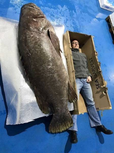 daily picdump 108 pics 18.html - 108 HD Photos | Premium Gallery 2017