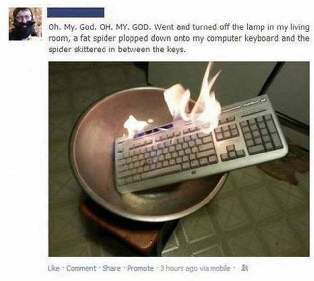 daily picdump 108 pics 18.html - 108 HD Photos | Premium Gallery 2017