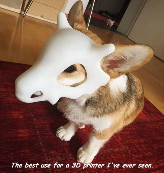 daily picdump 108 pics 18.html - 108 HD Photos | Premium Gallery 2017