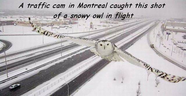 daily picdump 108 pics 18.html - 108 HD Photos | Premium Gallery 2017