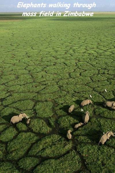 daily picdump 108 pics 18.html - 108 HD Photos | Premium Gallery 2017