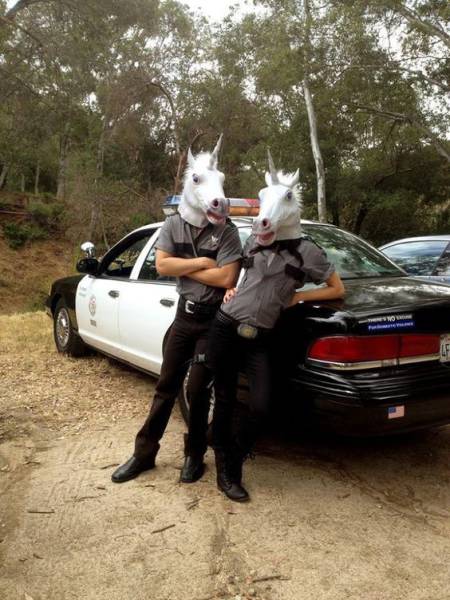 daily picdump 108 pics 18.html - 108 HD Photos | Premium Gallery 2017