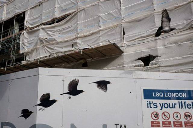 daily picdump 108 pics 18.html - 108 HD Photos | Premium Gallery 2017