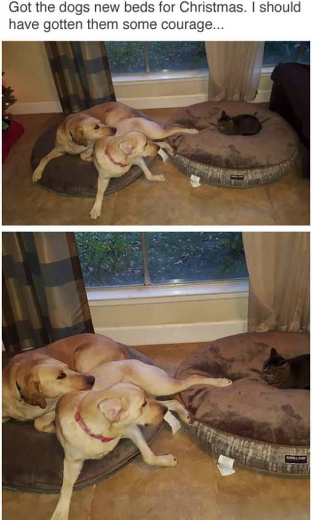 daily picdump 108 pics 18.html - 108 HD Photos | Premium Gallery 2017