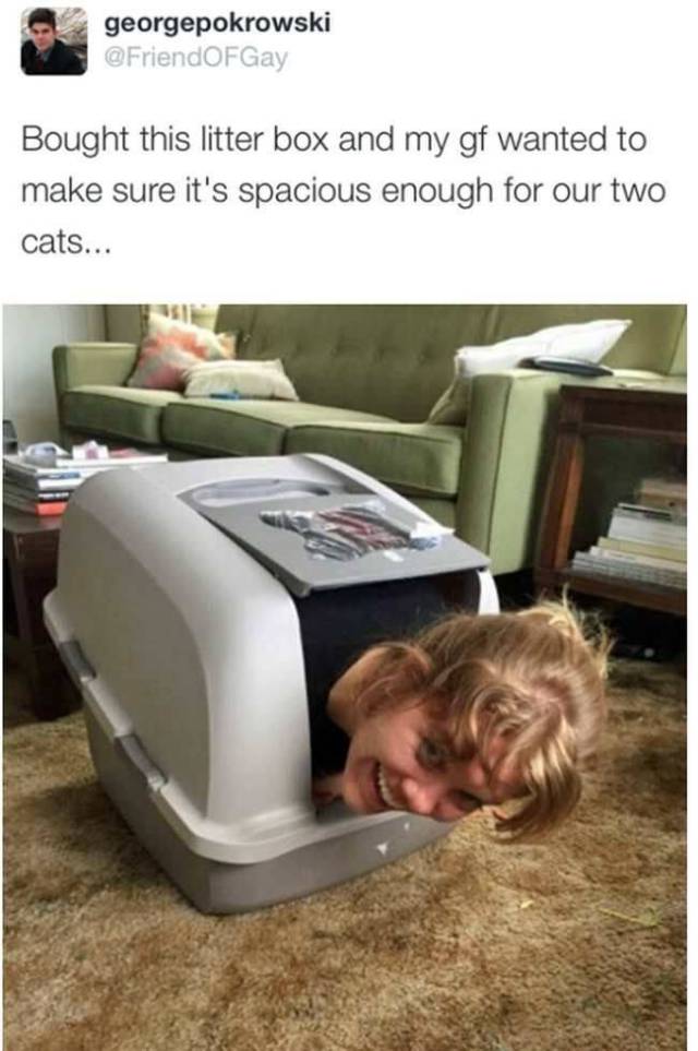 daily picdump 108 pics 18.html - 108 HD Photos | Premium Gallery 2017