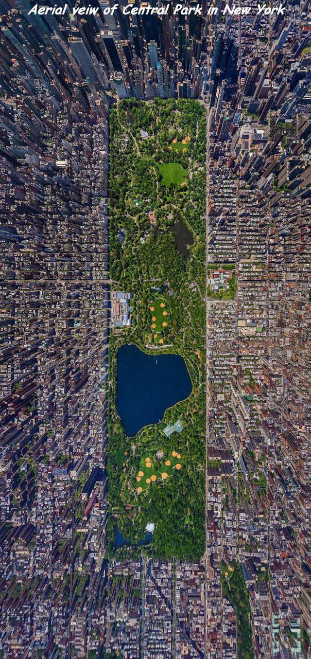 daily picdump 108 pics 18.html - 108 HD Photos | Premium Gallery 2017