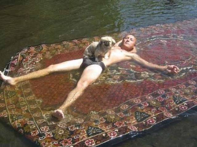 daily picdump weekend edition 81 pics 32.html - 81 HD Photos | Premium Gallery 2017