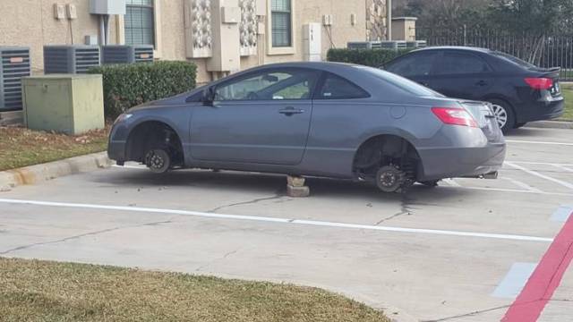 daily picdump weekend edition 81 pics 32.html - 81 HD Photos | Premium Gallery 2017