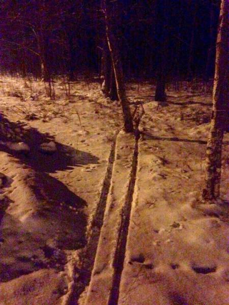 daily picdump weekend edition 81 pics 32.html - 81 HD Photos | Premium Gallery 2017