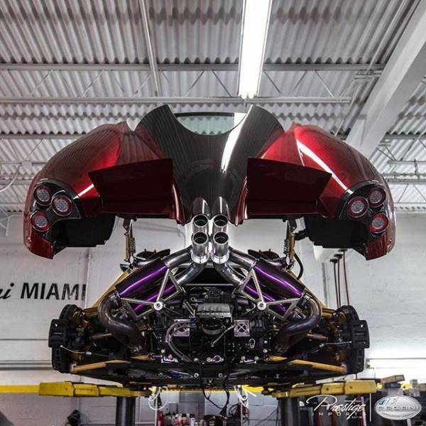 daily picdump weekend edition 81 pics 32.html - 81 HD Photos | Premium Gallery 2017