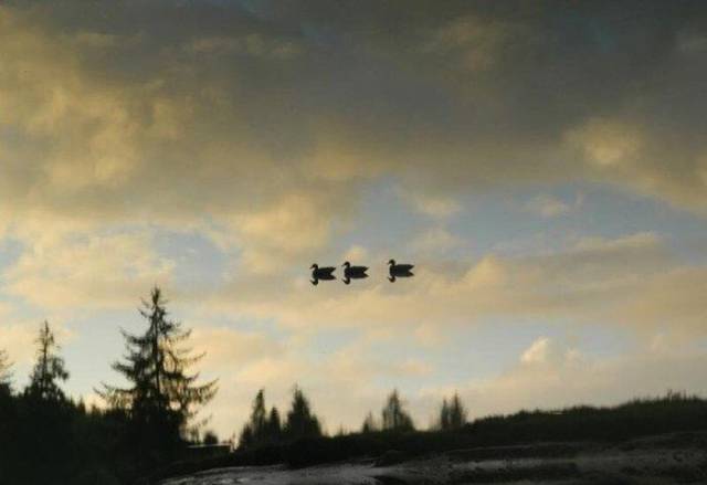 morning picdump 57 pics 14.html - 57 HD Photos | Premium Gallery 2017