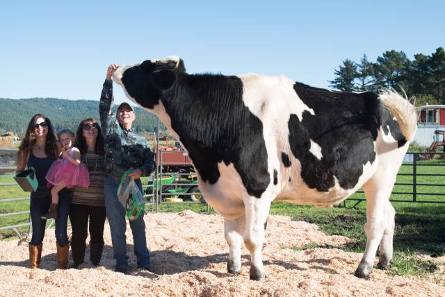 morning picdump 57 pics 14.html - 57 HD Photos | Premium Gallery 2017