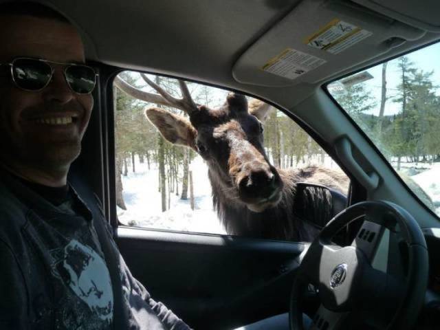 morning picdump 57 pics 14.html - 57 HD Photos | Premium Gallery 2017