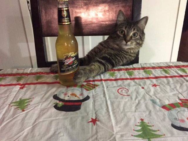 morning picdump 57 pics 14.html - 57 HD Photos | Premium Gallery 2017