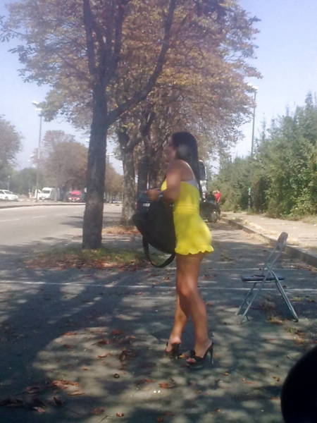 The Queens Of The Night Is A Never-Dying Profession