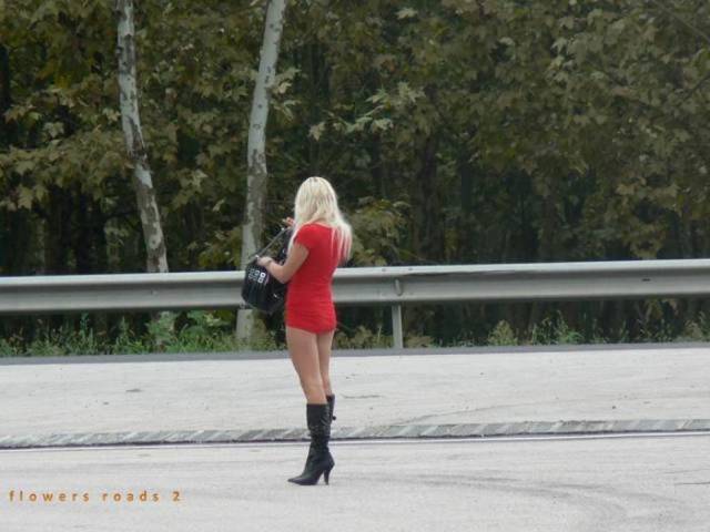 The Queens Of The Night Is A Never-Dying Profession