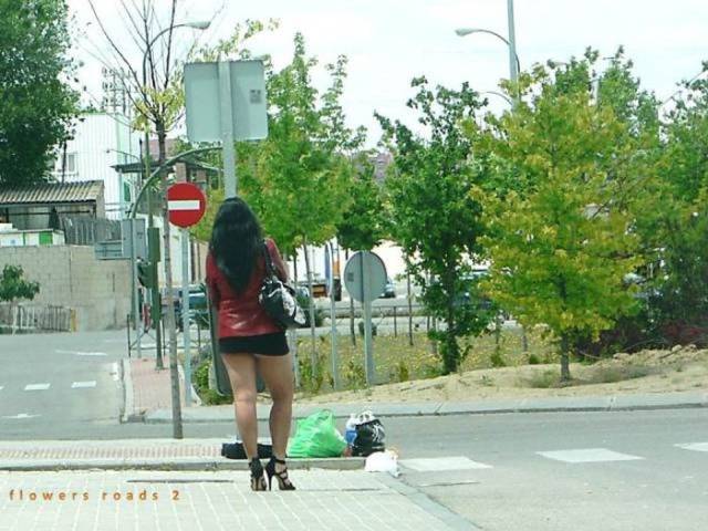 The Queens Of The Night Is A Never-Dying Profession