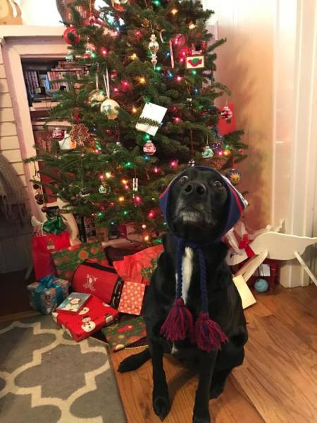 daily picdump 96 pics 3.html - 96 HD Photos | Premium Gallery 2017