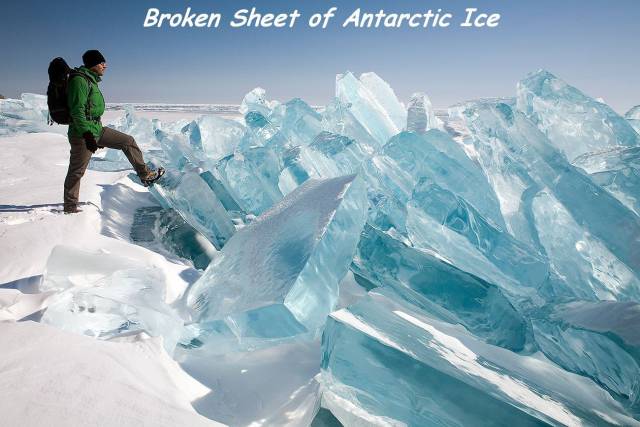 daily picdump 96 pics 3.html - 96 HD Photos | Premium Gallery 2017