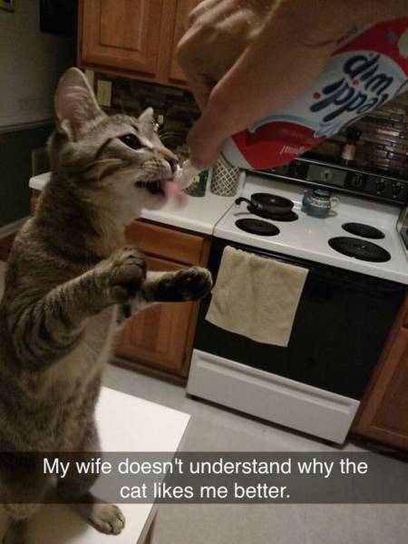 daily picdump 96 pics 3.html - 96 HD Photos | Premium Gallery 2017