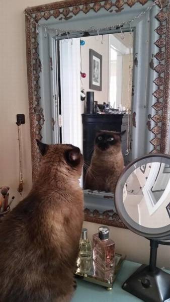 daily picdump 96 pics 3.html - 96 HD Photos | Premium Gallery 2017