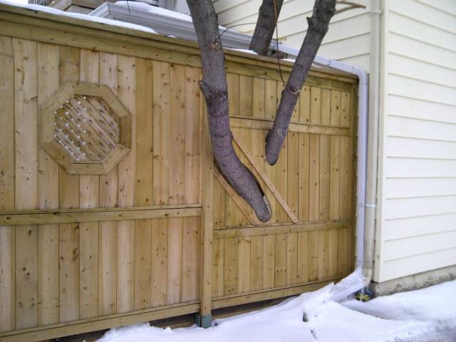 daily picdump 96 pics 3.html - 96 HD Photos | Premium Gallery 2017