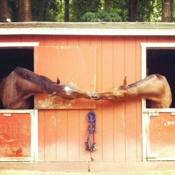 daily picdump 96 pics 3.html - 96 HD Photos | Premium Gallery 2017