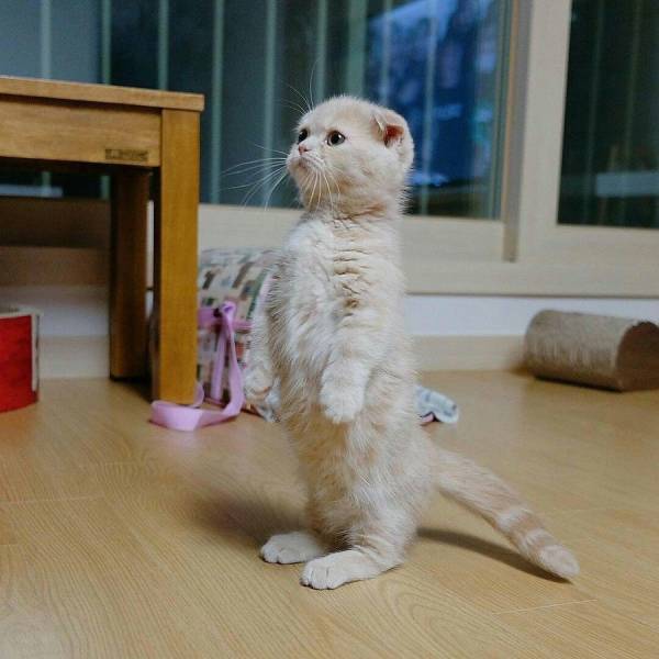 daily picdump 106 pics 29.html - 106 HD Photos | Premium Gallery 2017