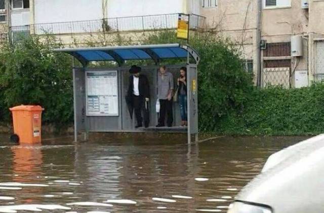 daily picdump 106 pics 29.html - 106 HD Photos | Premium Gallery 2017