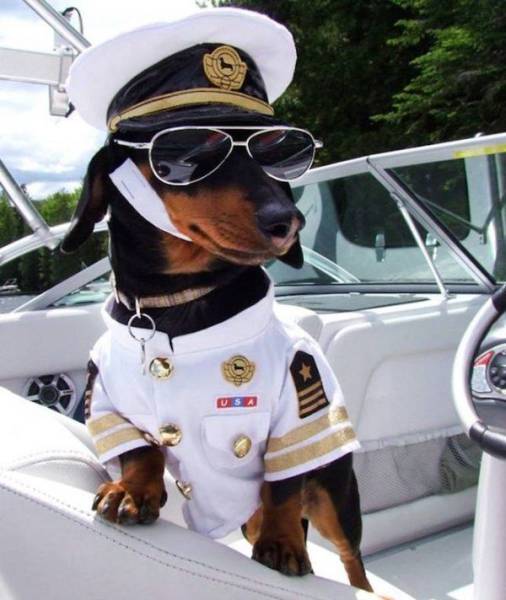 daily picdump 106 pics 29.html - 106 HD Photos | Premium Gallery 2017