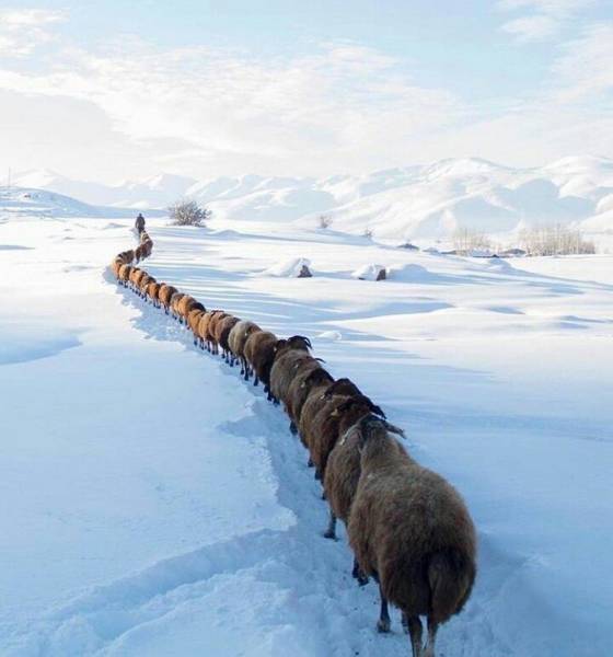 daily picdump 106 pics 29.html - 106 HD Photos | Premium Gallery 2017