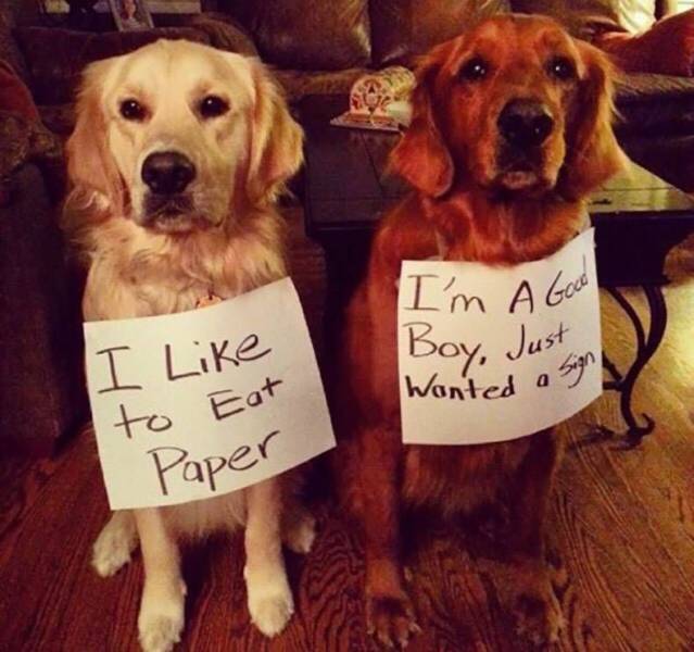 daily picdump 106 pics 29.html - 106 HD Photos | Premium Gallery 2017