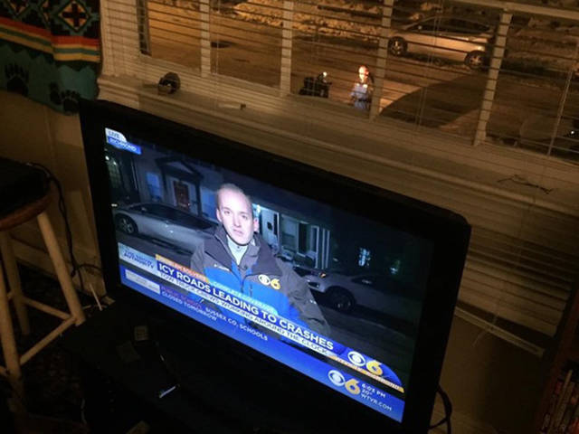 morning picdump 53 pics 18.html - 53 HD Photos | Premium Gallery 2017