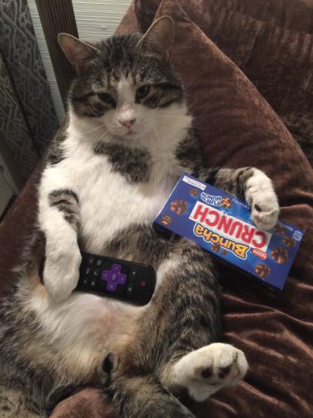 morning picdump 53 pics 18.html - 53 HD Photos | Premium Gallery 2017