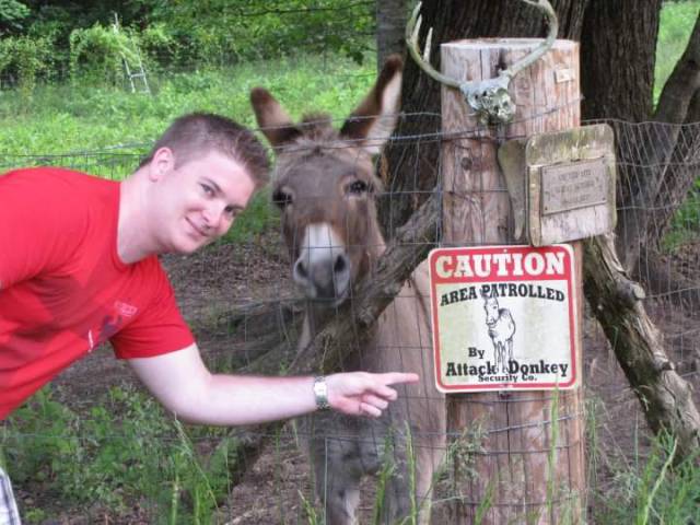 morning picdump 53 pics 18.html - 53 HD Photos | Premium Gallery 2017