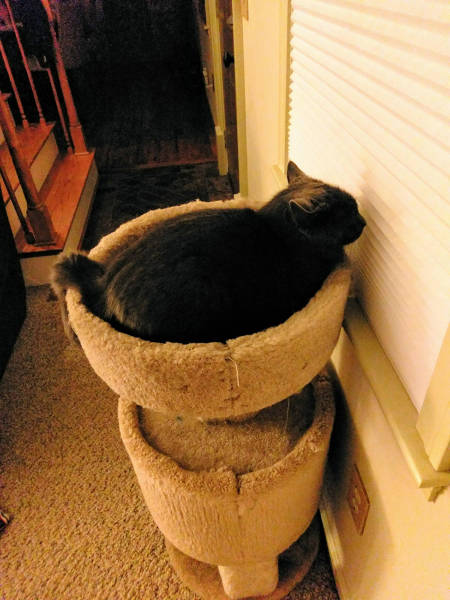 morning picdump 53 pics 18.html - 53 HD Photos | Premium Gallery 2017