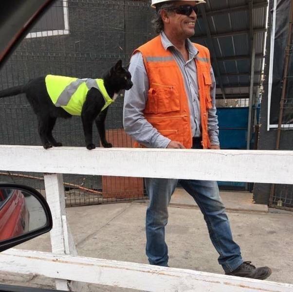 morning picdump 53 pics 18.html - 53 HD Photos | Premium Gallery 2017