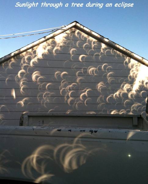 daily picdump 94 pics 29.html - 94 HD Photos | Premium Gallery 2017