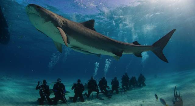 daily picdump 94 pics 29.html - 94 HD Photos | Premium Gallery 2017