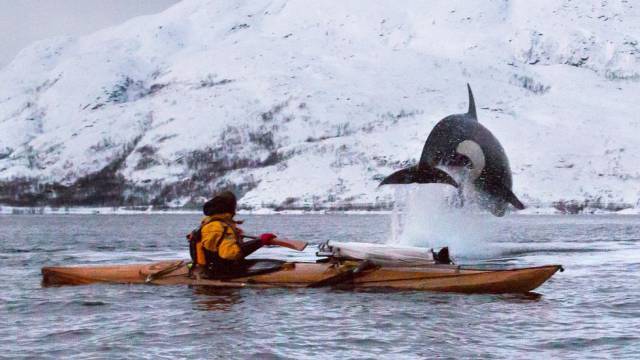 daily picdump 94 pics 29.html - 94 HD Photos | Premium Gallery 2017