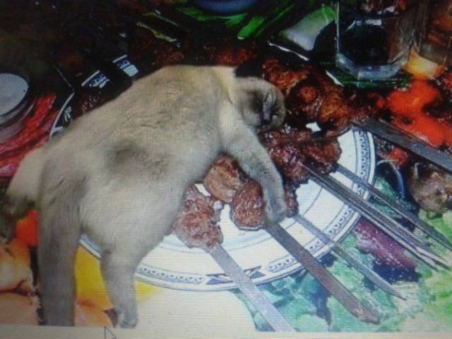 daily picdump 94 pics 29.html - 94 HD Photos | Premium Gallery 2017