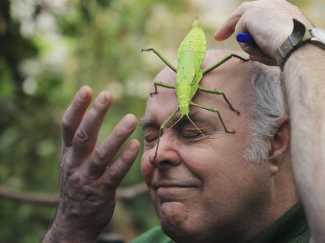 daily picdump 94 pics 29.html - 94 HD Photos | Premium Gallery 2017