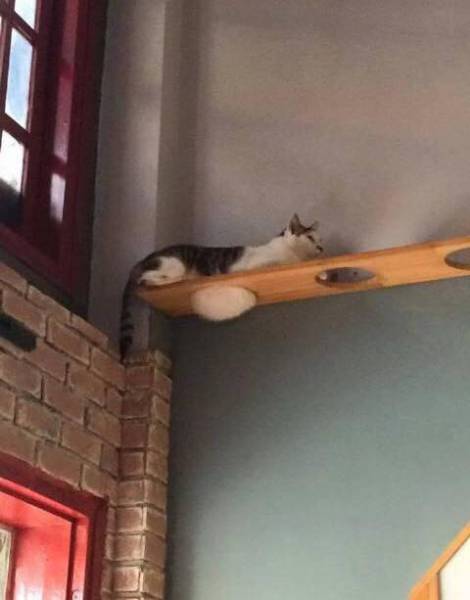 morning picdump 50 pics 17.html - 50 HD Photos | Premium Gallery 2017