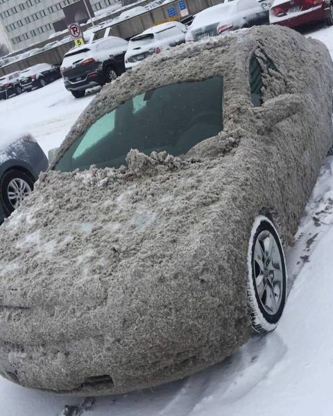 morning picdump 50 pics 17.html - 50 HD Photos | Premium Gallery 2017