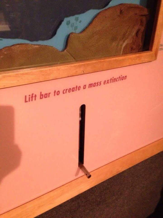 morning picdump 50 pics 17.html - 50 HD Photos | Premium Gallery 2017